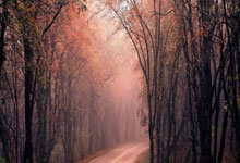 阿赖克南锋线火力全开，期待在下一场比赛中继续得分