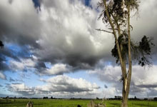 埃尔切士气大振，展望下一场比赛信心满满