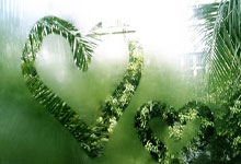 埃尔切士气大振，展望下一场比赛信心满满