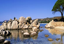 活塞力克篮网，防守逼抢关键反击获胜