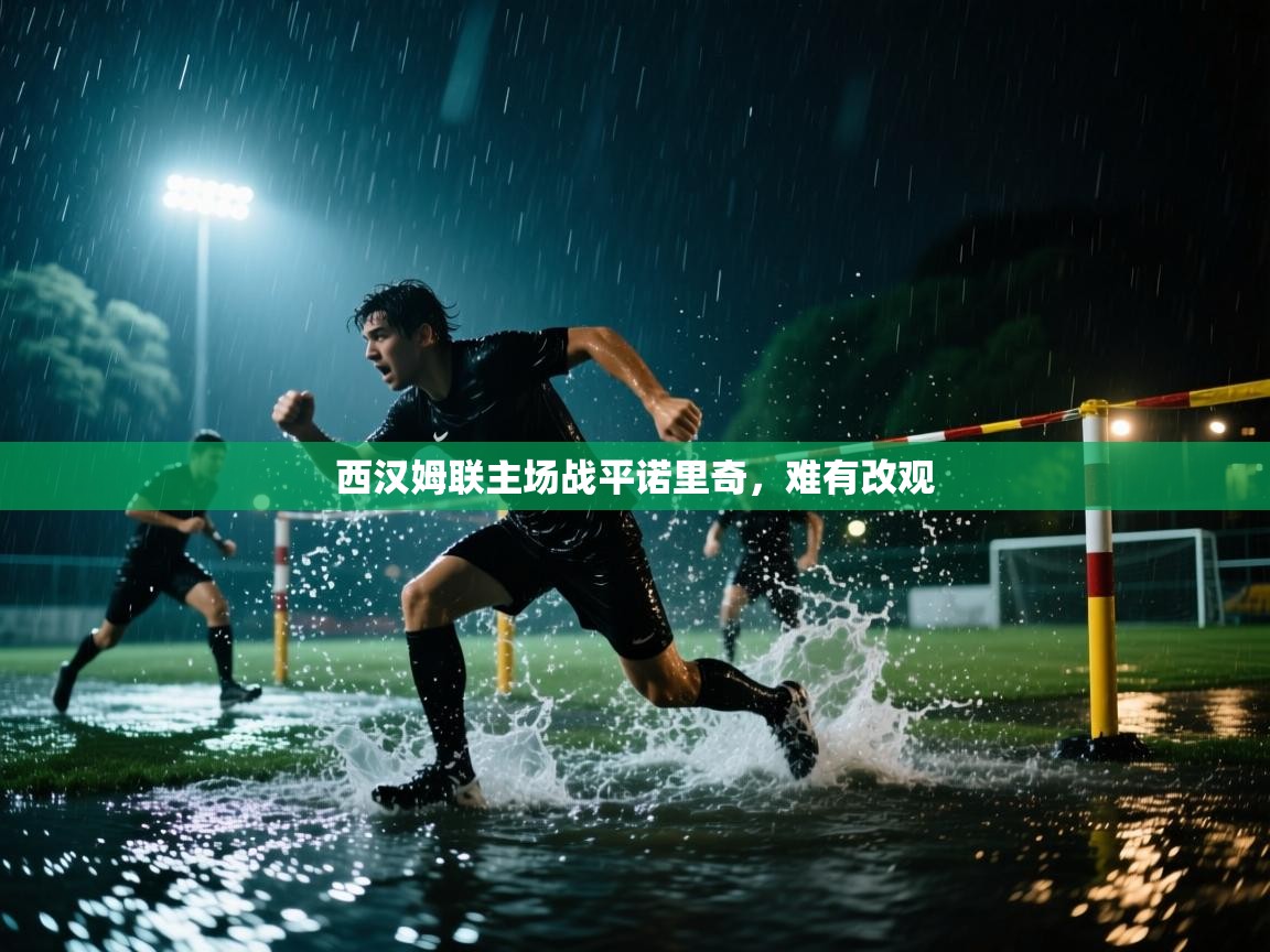 西汉姆联主场战平诺里奇，难有改观  第2张